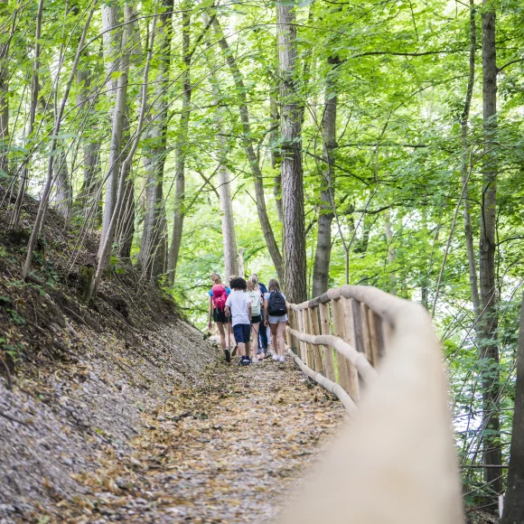 Eine Gruppe von Menschen wandert auf einem Waldweg mit Holzgeländer, umgeben von grünen Bäumen.